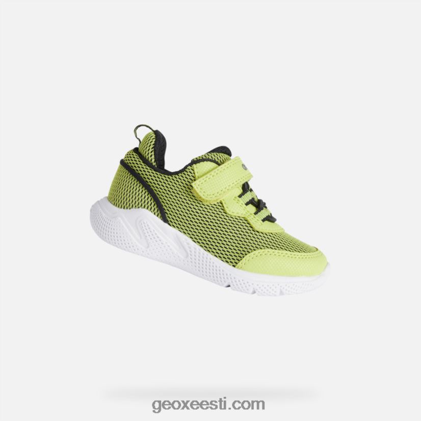 sprintye beebiJ4Z02T1464 Geox laim/must