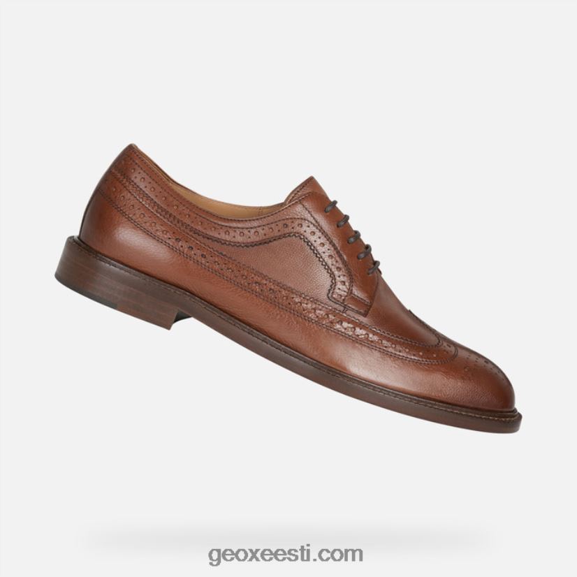 artenova mehed J4Z02T1857 Geox hele pruun