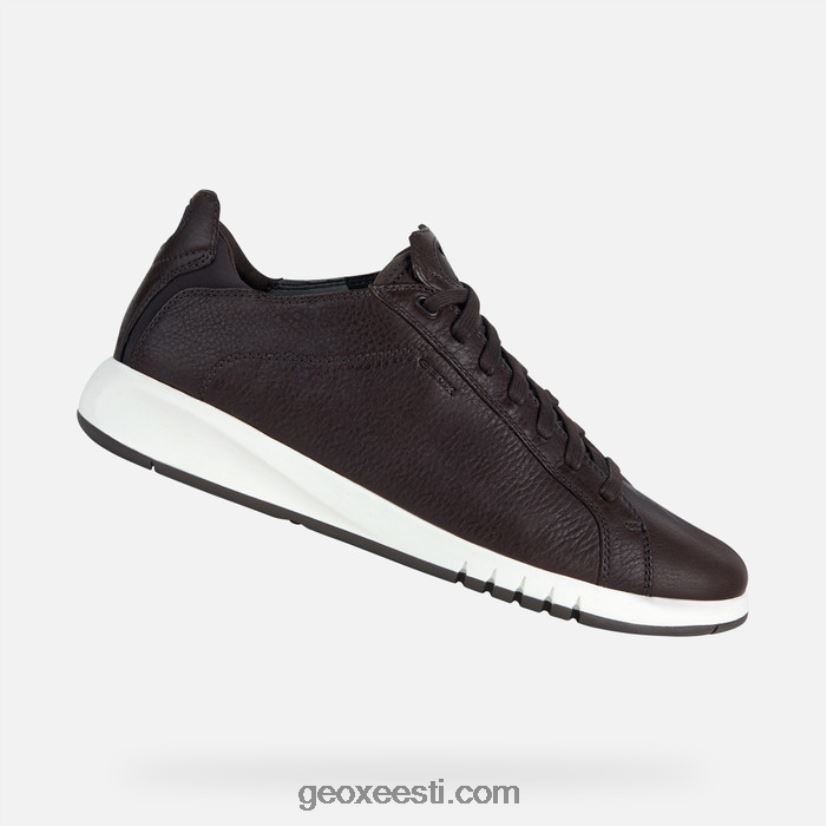 aerantis mehed J4Z02T652 Geox tumepruun