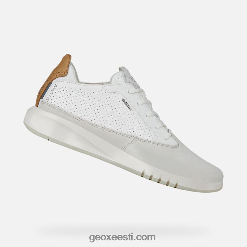 aerantis mehed J4Z02T800 Geox papüürus/valge