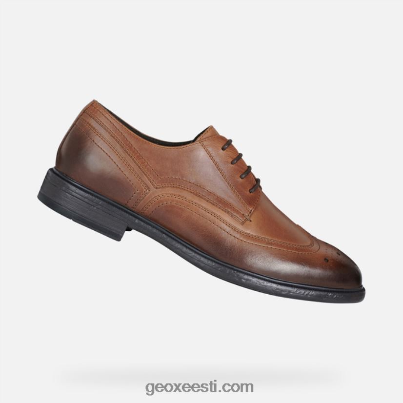 terence mehed J4Z02T916 Geox hele pruun