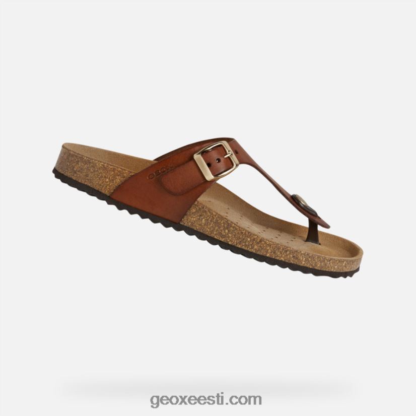 brionia naised J4Z02T494 Geox pruun