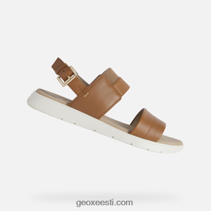 dandra naised J4Z02T549 Geox kaamel