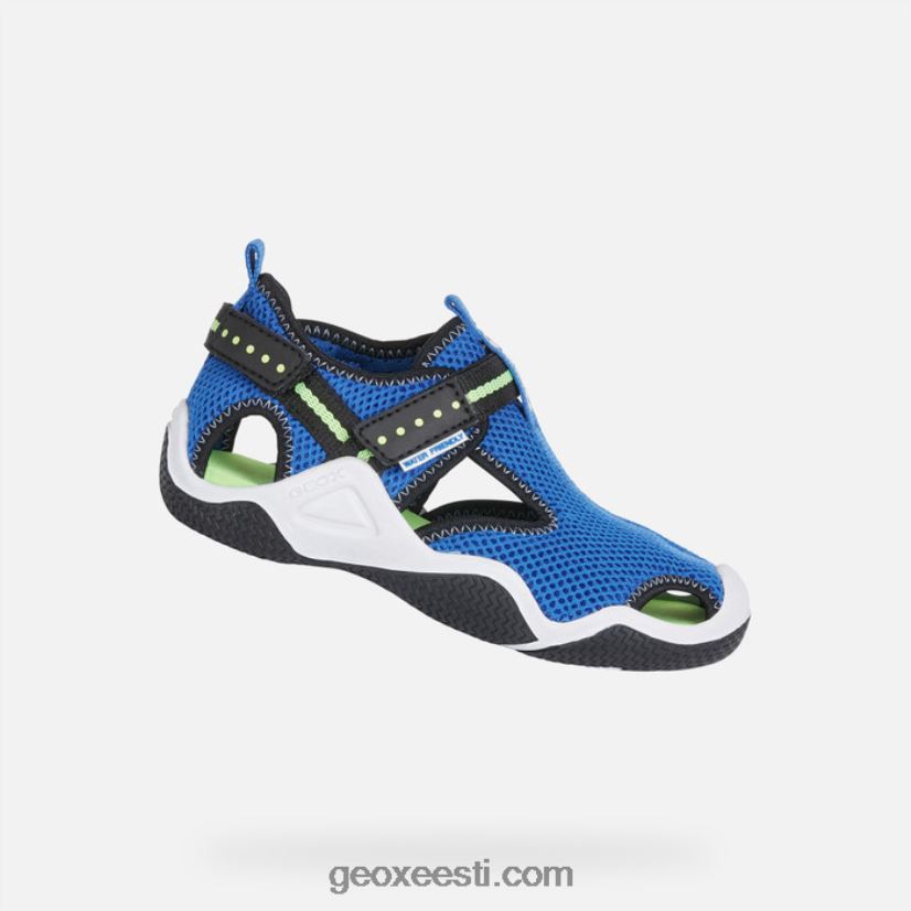 kahlaja juunior poisid J4Z02T1348 Geox kuninglik/fluoroheline