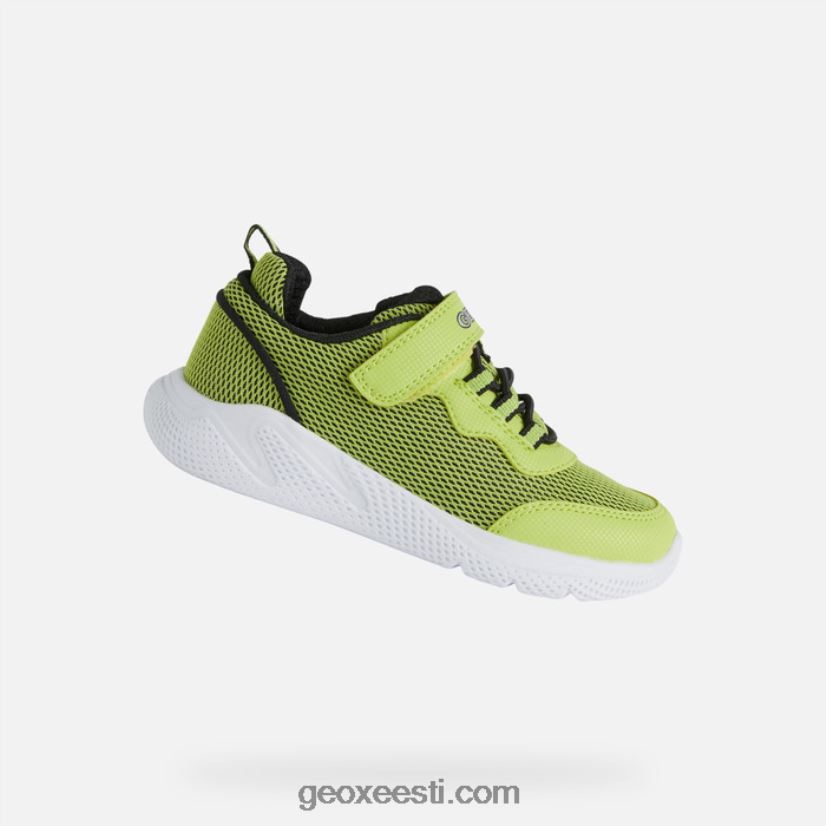 sprintye juunior poisid J4Z02T1351 Geox laim/must