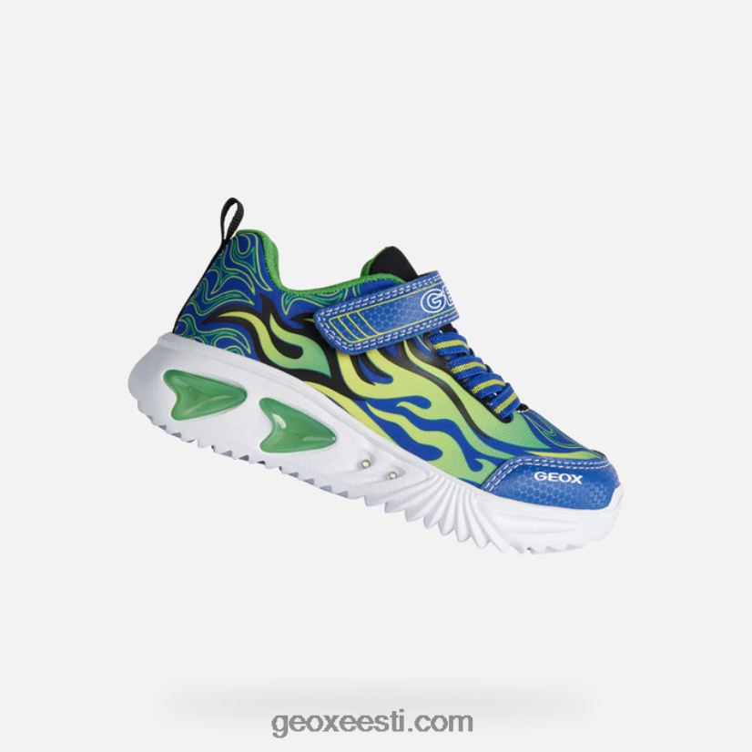 abistaja poisid J4Z02T1944 Geox kuninglik/roheline