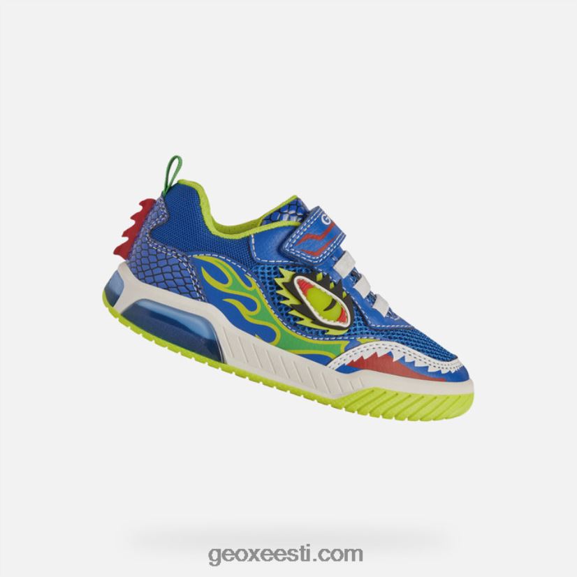 inek poisid J4Z02T2004 Geox kuninglik/laim