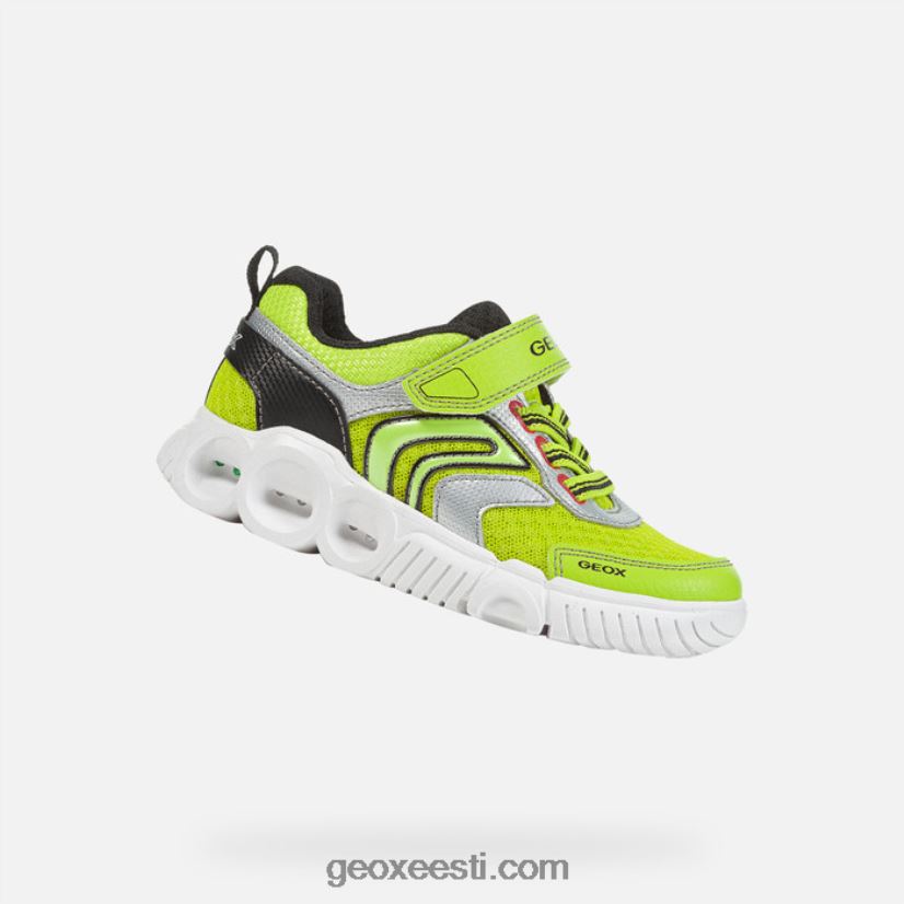 wroom poisid J4Z02T1382 Geox laim/must